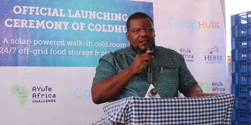 Nnaemeka Ikegwuonu -Coldhubs